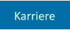 Karriere